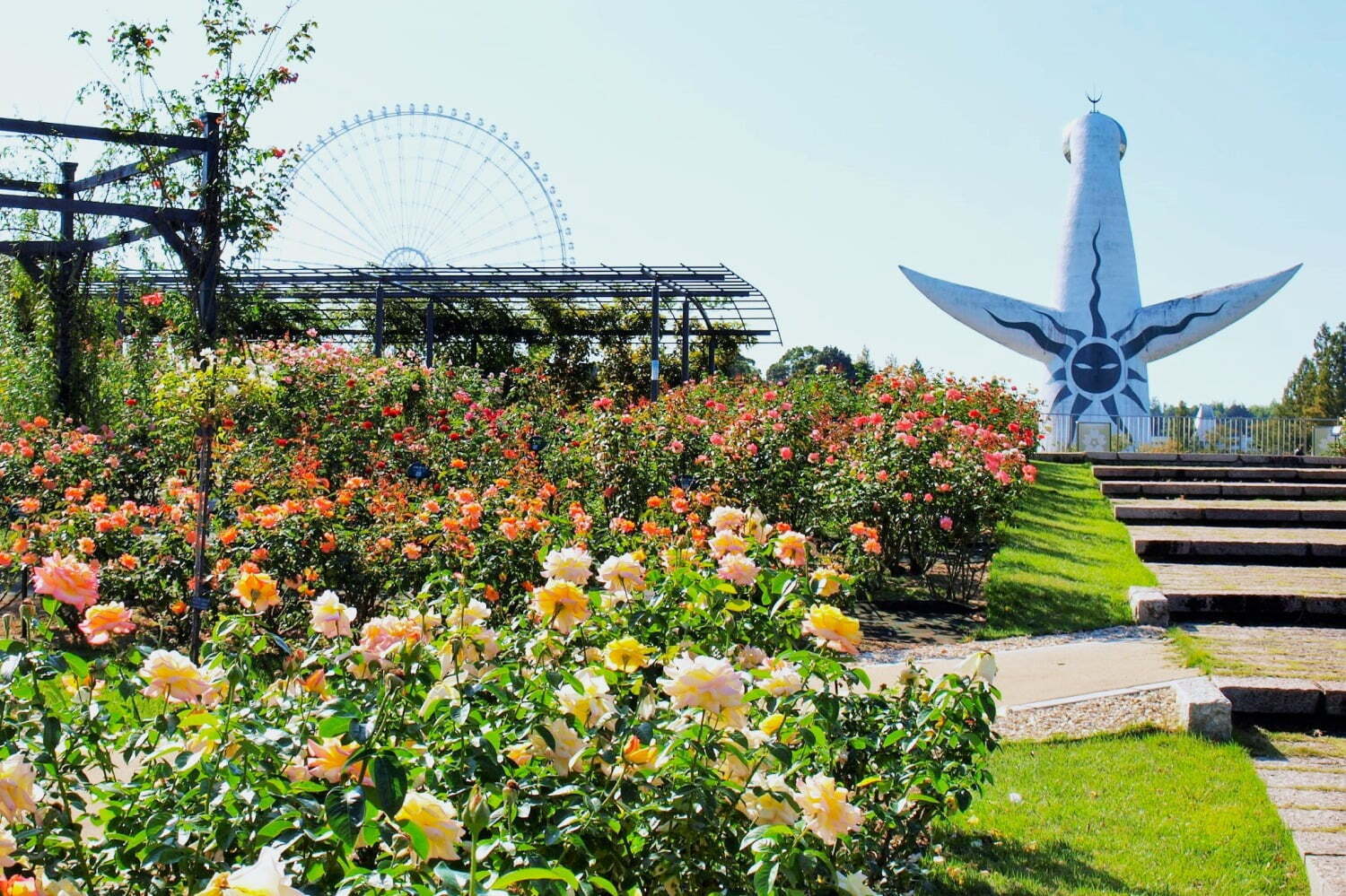 庭園｜大阪「万博記念公園 秋のローズフェスタ」咲き誇る約2,400株の秋バラ、“花びら”飾ったスイーツも
