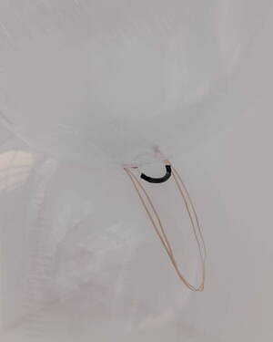 タン(TAN) 2025年春夏ウィメンズコレクション  - 写真24