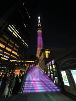 東京スカイツリータウンのクリスマス2024、イルミネーションや“ツリー風”ライティング｜写真2