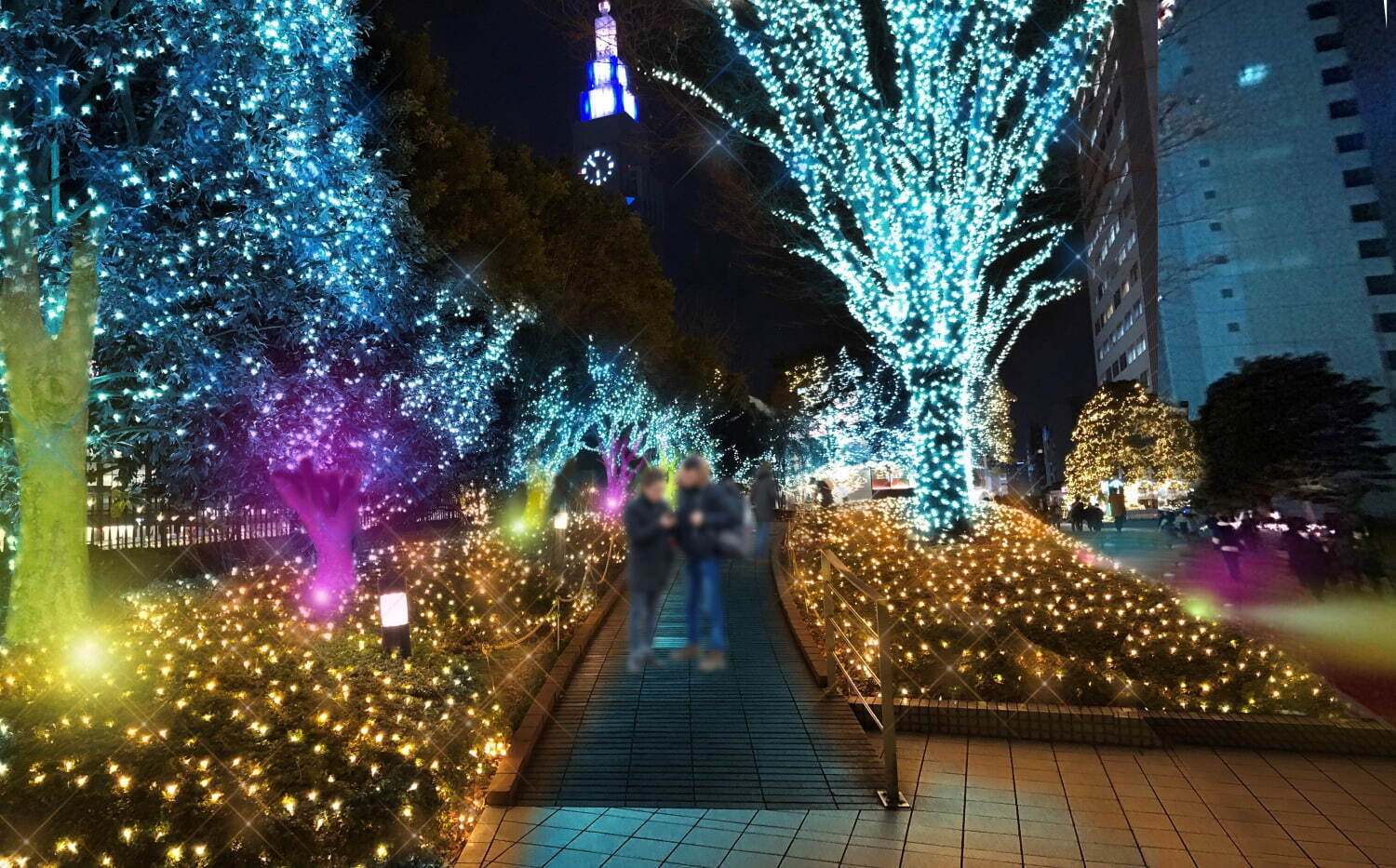 新宿サザンテラス・小田急サザンタワー
期間：2024年11月15日(金)～2025年2月14日(金)予定