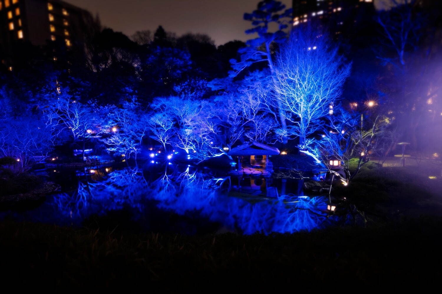八芳園24年紅葉ライトアップで日本庭園が“真っ赤”に、幻想的な光のアートや秋の味覚メニュー｜写真6