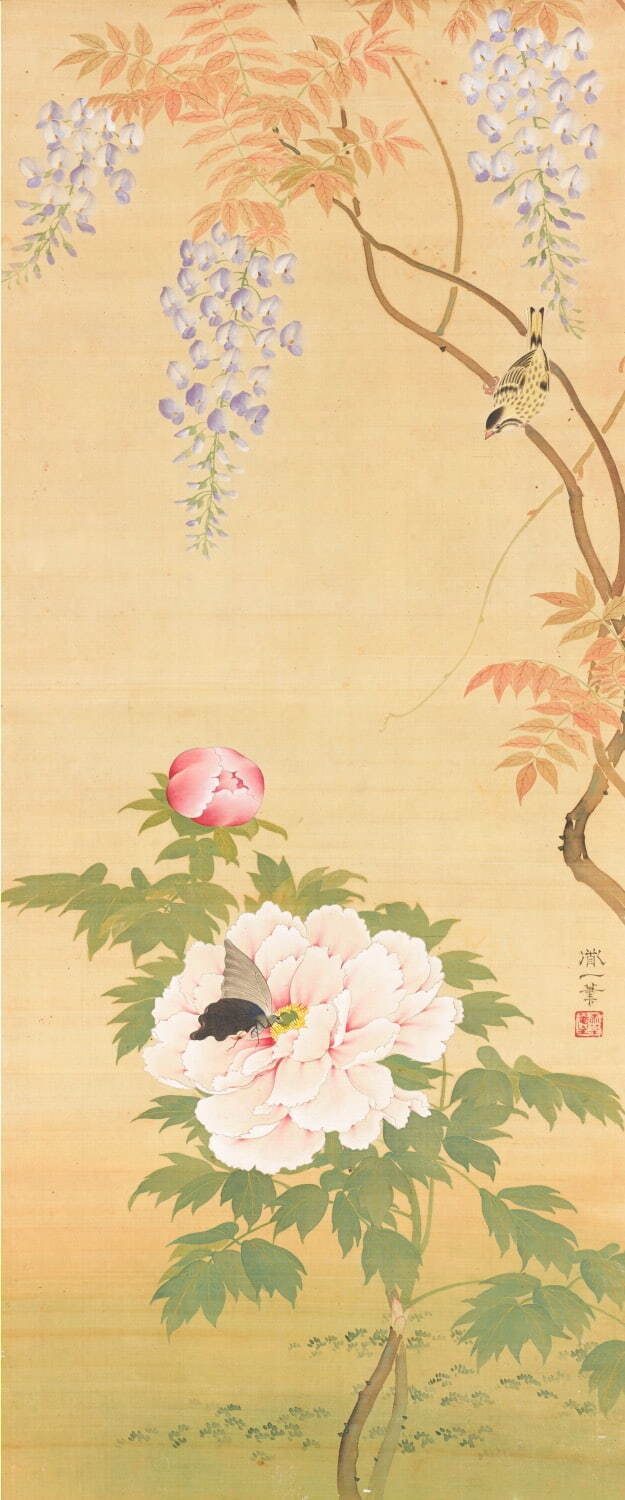 酒井道一 《藤に牡丹図》 明治時代