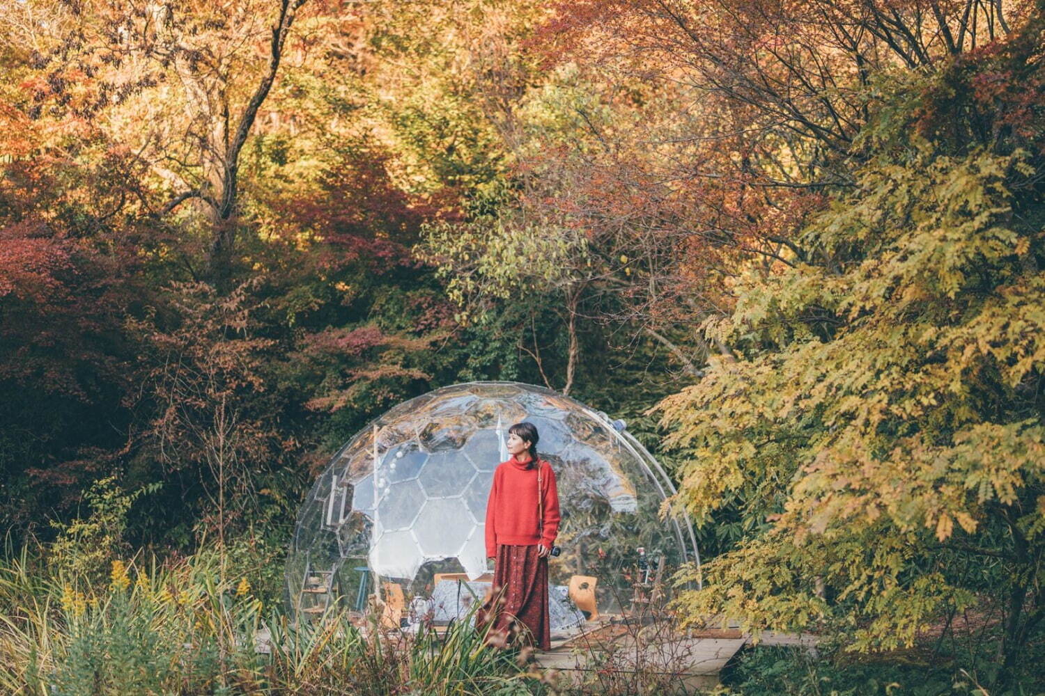 “夜の紅葉ライトアップ”ROKKO森の音ミュージアム＆六甲高山植物園で、土日祝日限定で開催｜写真4