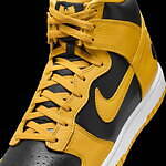 ナイキ(NIKE) ダンク ハイ｜写真14