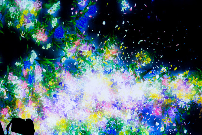 チームラボの展覧会「Infinity of Flowers」がグッチ新宿で開催 | 写真