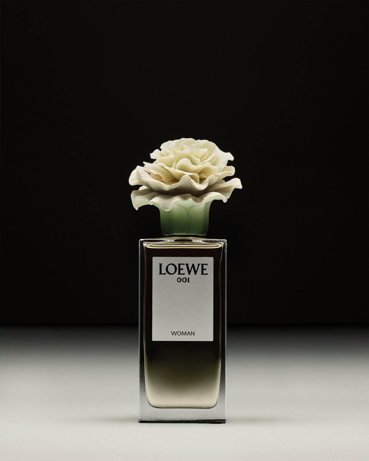 カンポ ローファー（ブラッシュドカーフ） ブラック - LOEWE