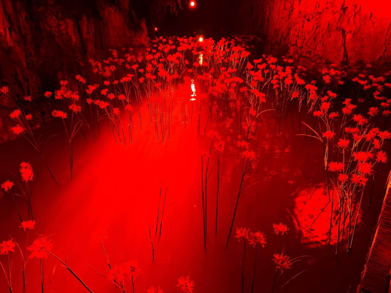 蜷川実花 《Flowers of the Beyond》 イメージ
©mika ninagawa, Courtesy of Tomio Koyama Gallery