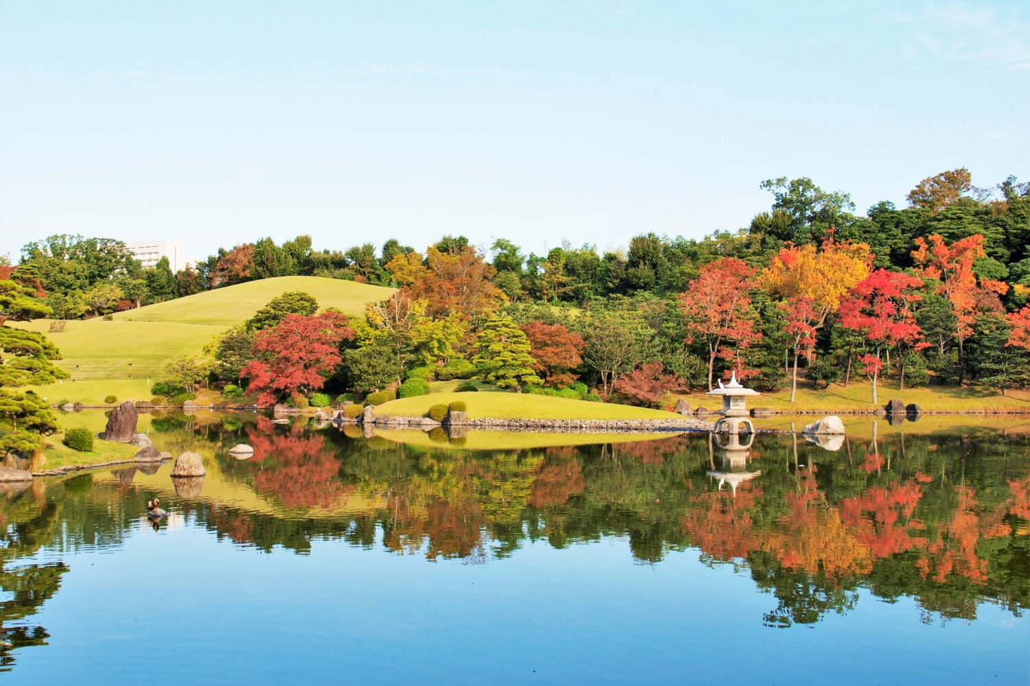 庭園｜大阪・万博記念公園「紅葉まつり」モミジやイチョウ約1万本の絶景、庭園茶室＆屋台も