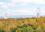 大阪・万博記念公園「紅葉まつり」モミジやイチョウ約1万本の絶景、庭園茶室＆屋台も｜写真2