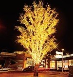 さいたま新都心「コクーンシティ」約45万球が輝くイルミネーション2024、クリスマスマーケットも開催｜写真9