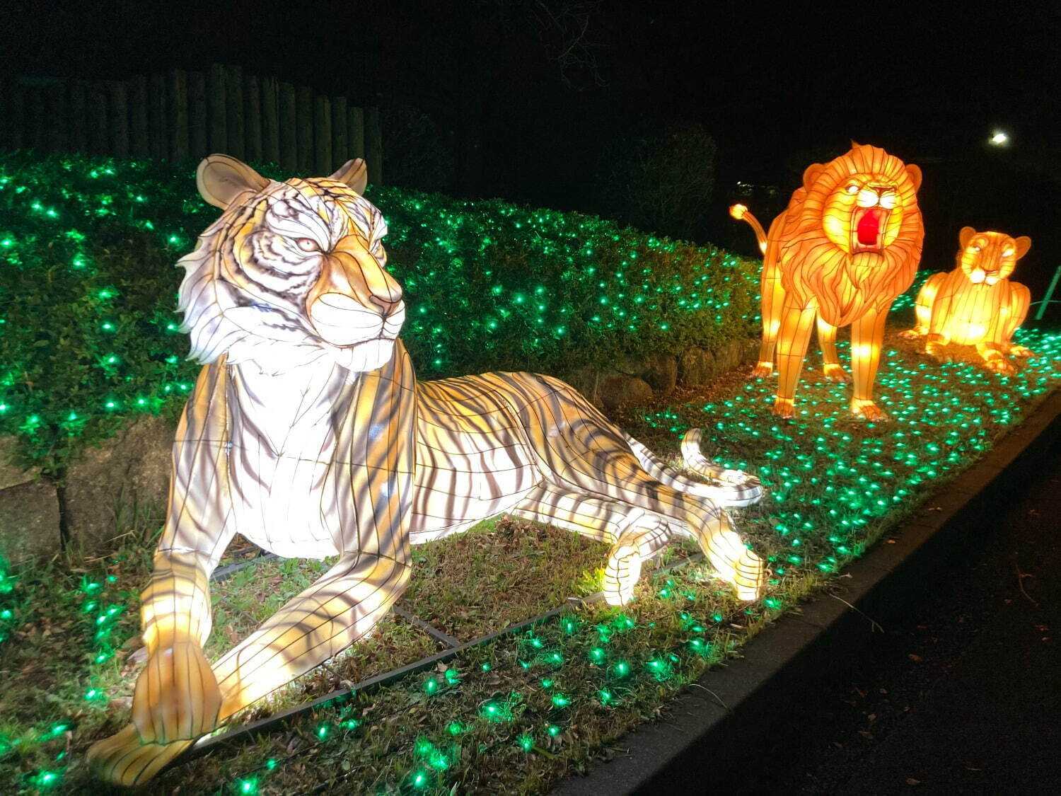東武動物公園「ウィンターイルミネーション2024-2025」光の桜や動物オブジェのライトアップ｜写真20