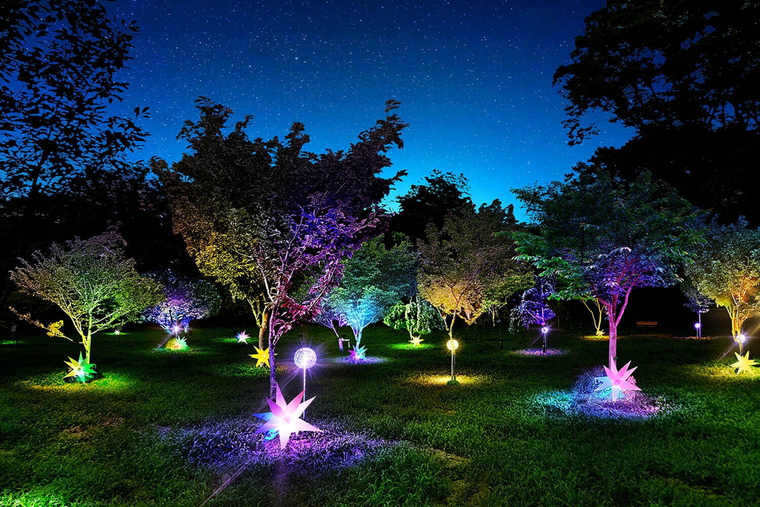 東京・小金井公園で“夜の公園散策”を楽しむ初のライトアップイベント開催｜写真4