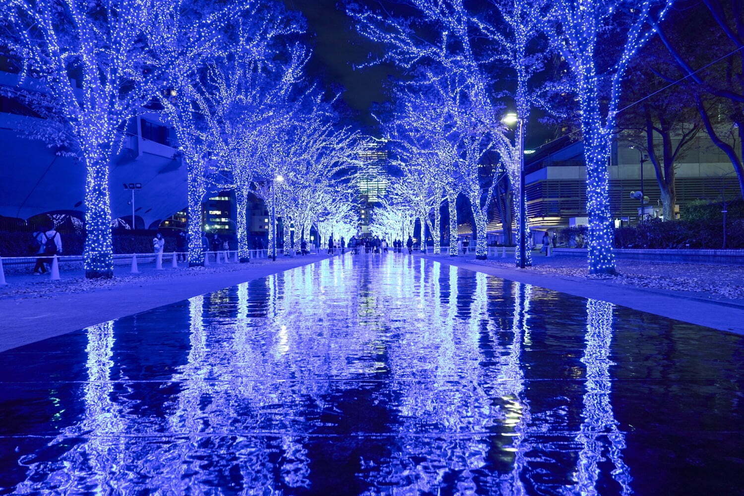 日本最大級｜「青の洞窟 SHIBUYA」渋谷が“青一色”に染まる冬イルミネーション、代々木公園にスノードームも