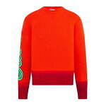 ディオール(DIOR) ディオール ＆ KAWS｜写真15