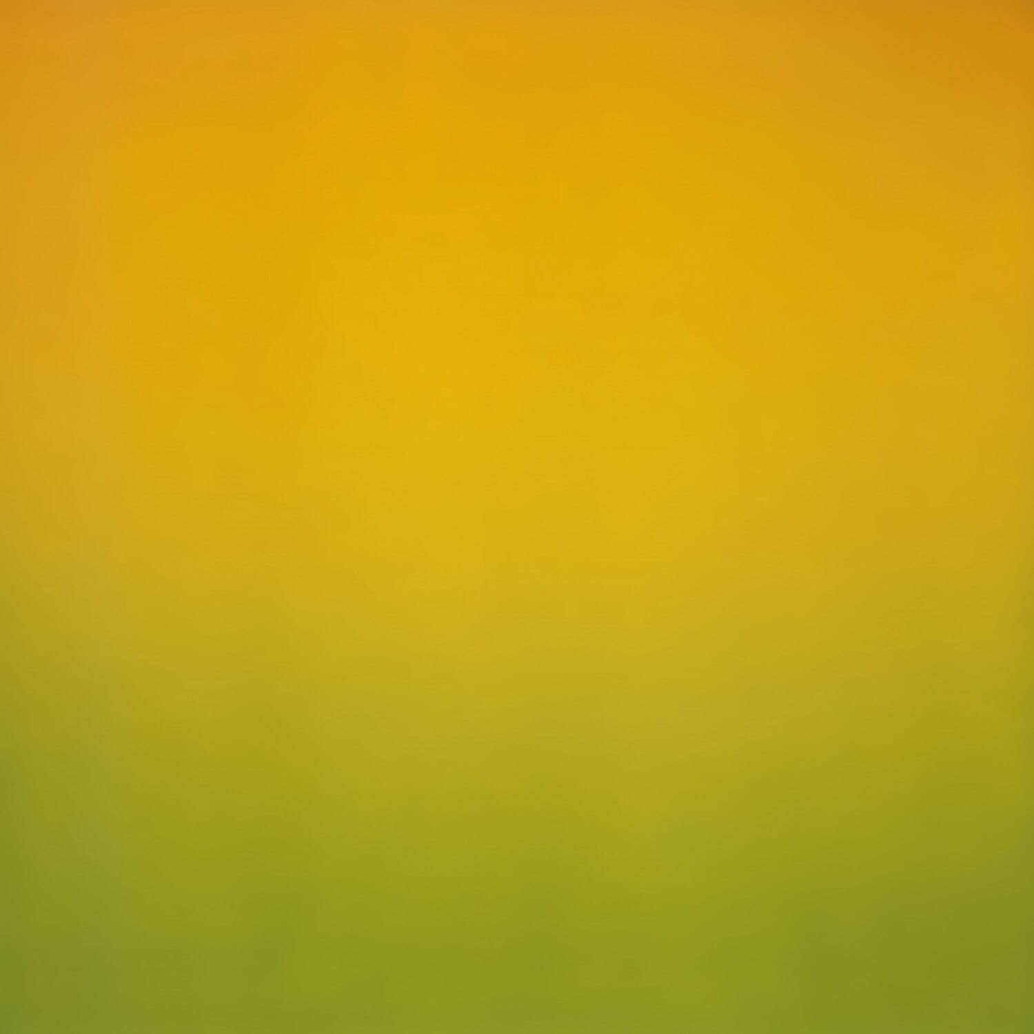 杉本博司 《Opticks 029》 2018年 ポーラ美術館 © Hiroshi Sugimoto / Courtesy of Gallery Koyanagi