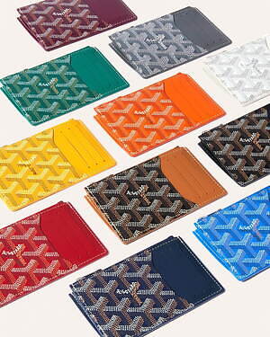 ゴヤール(GOYARD) ブルボンカードホルダー｜写真18