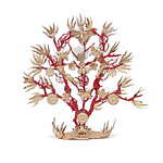 ディオール メゾン“海の世界”×リモージュ磁器のテーブルウェア、サンゴを描いたプレートやカップなど｜写真19