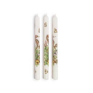 ディオール メゾン“海の世界”×リモージュ磁器のテーブルウェア、サンゴを描いたプレートやカップなど｜写真8