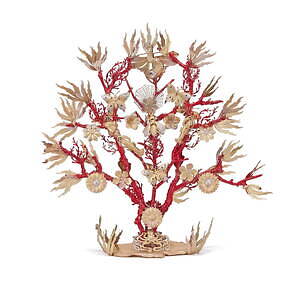 ディオール メゾン“海の世界”×リモージュ磁器のテーブルウェア、サンゴを描いたプレートやカップなど｜写真19