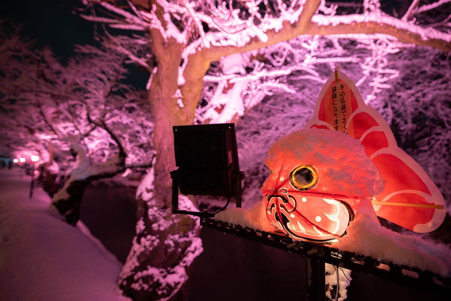 「冬に咲くさくらライトアップ」雪とイルミネーションの幻想的な冬景色、“桜の名所”青森・弘前公園で｜写真2