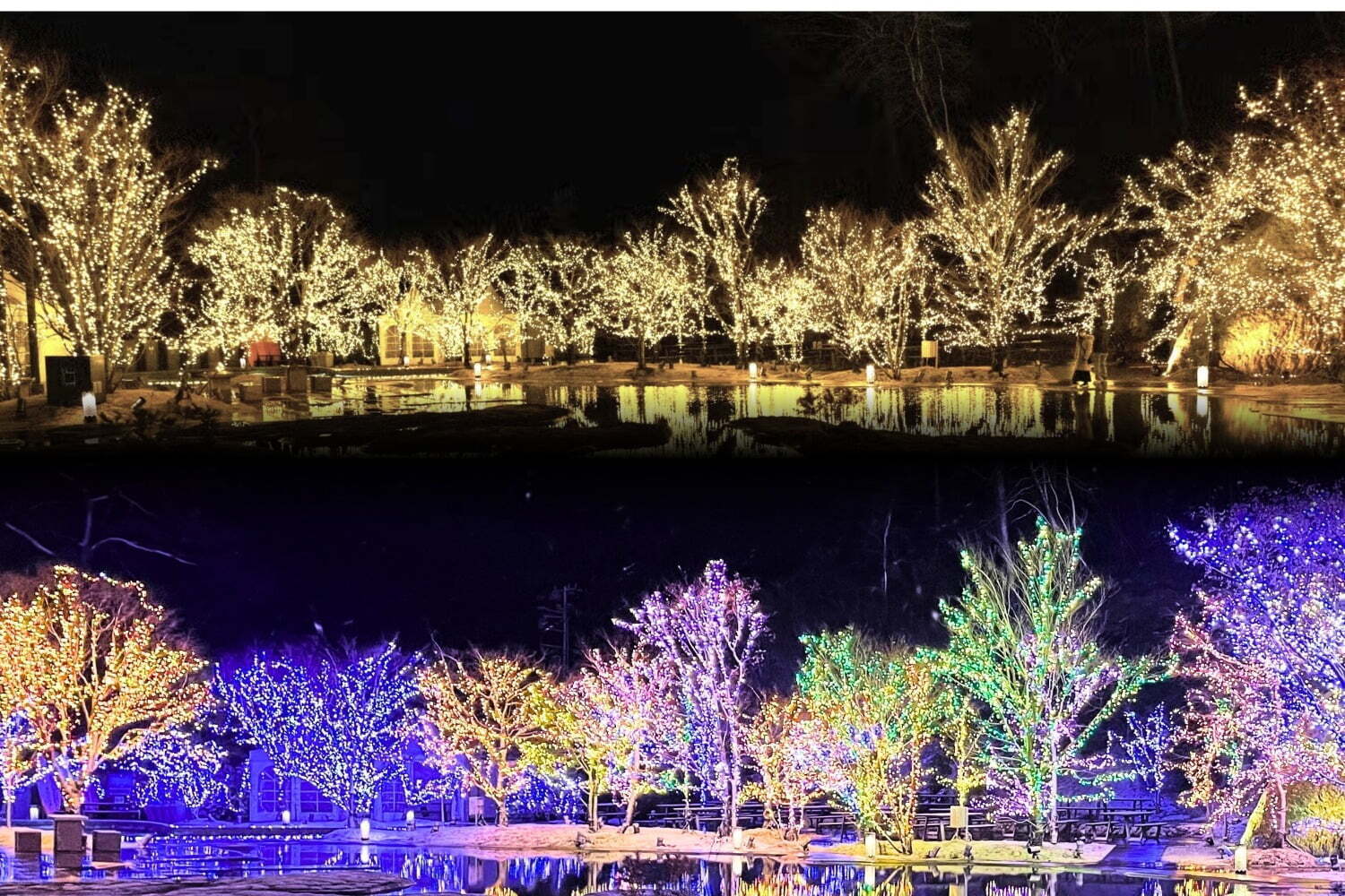 クリスマス｜宮城「松島離宮」日本三景・松島の24年イルミネーション、煌めくシャンパンゴールド＆7色の光で