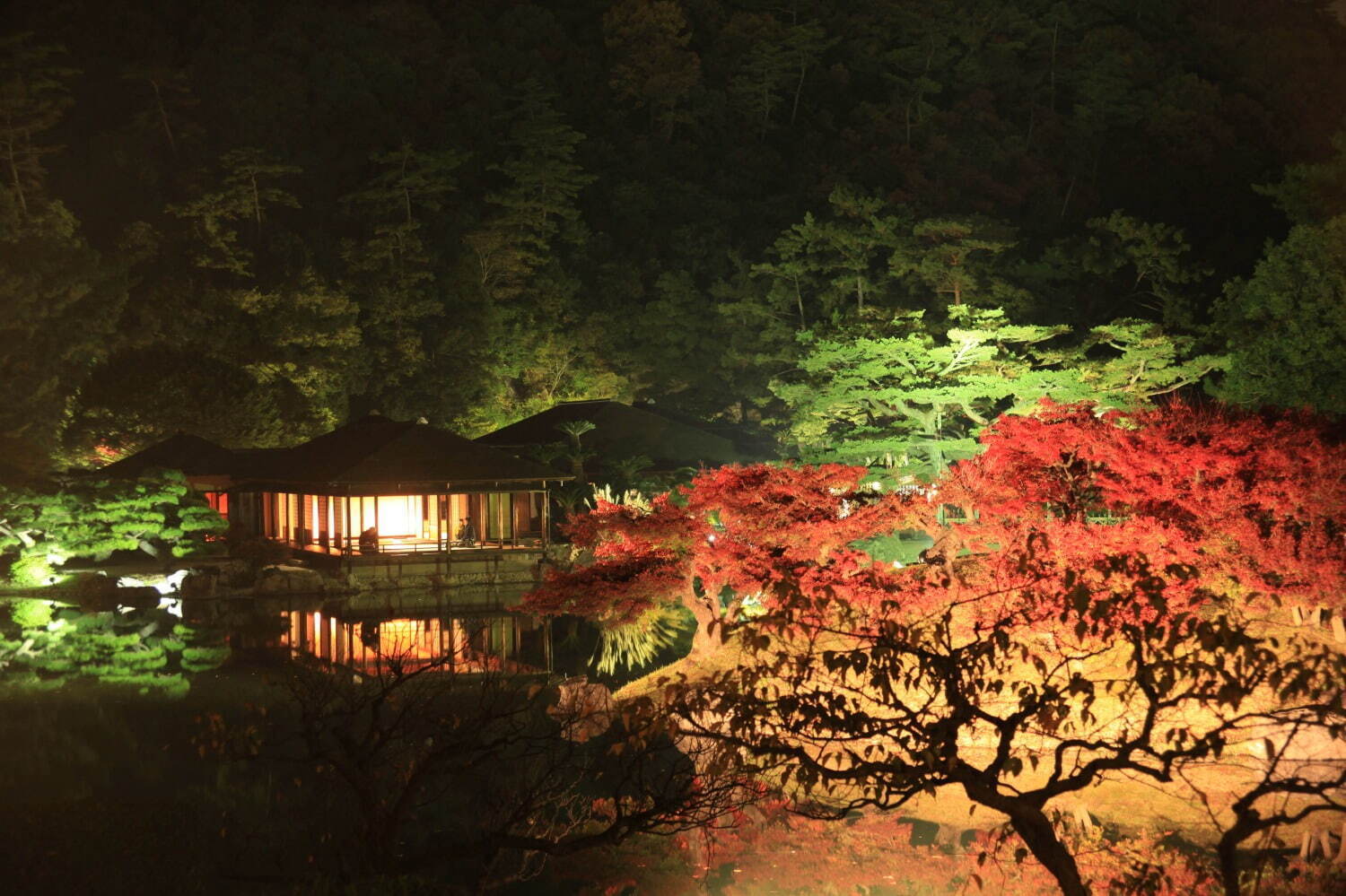 香川県の特別名勝「栗林公園」紅葉ライトアップ、幻想的な湖の水面＆夜間限定の周遊和船も｜写真1