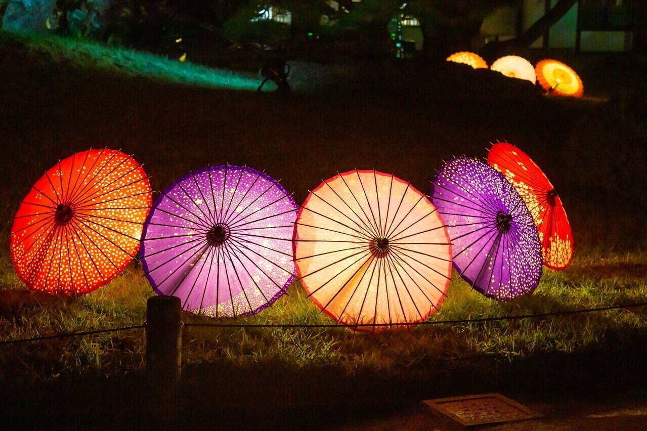 香川県の特別名勝「栗林公園」紅葉ライトアップ、幻想的な湖の水面＆夜間限定の周遊和船も｜写真5