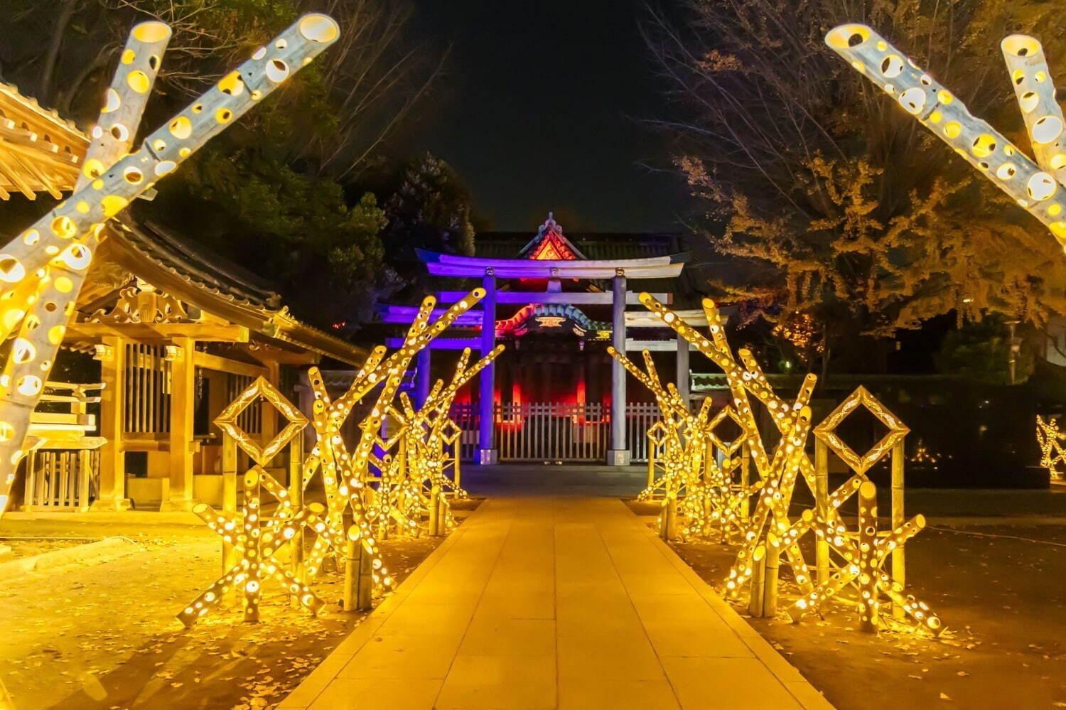 関東の冬おでかけイベント【2024-25年】入場無料のイルミネーションなどデートや日帰り旅行に｜写真27