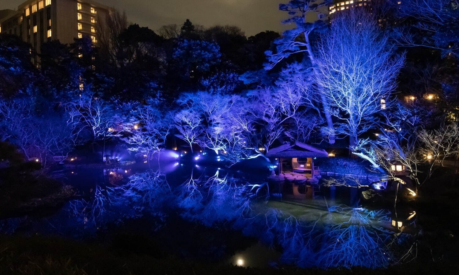 関東の冬おでかけイベント【2024-25年】入場無料のイルミネーションなどデートや日帰り旅行に｜写真46