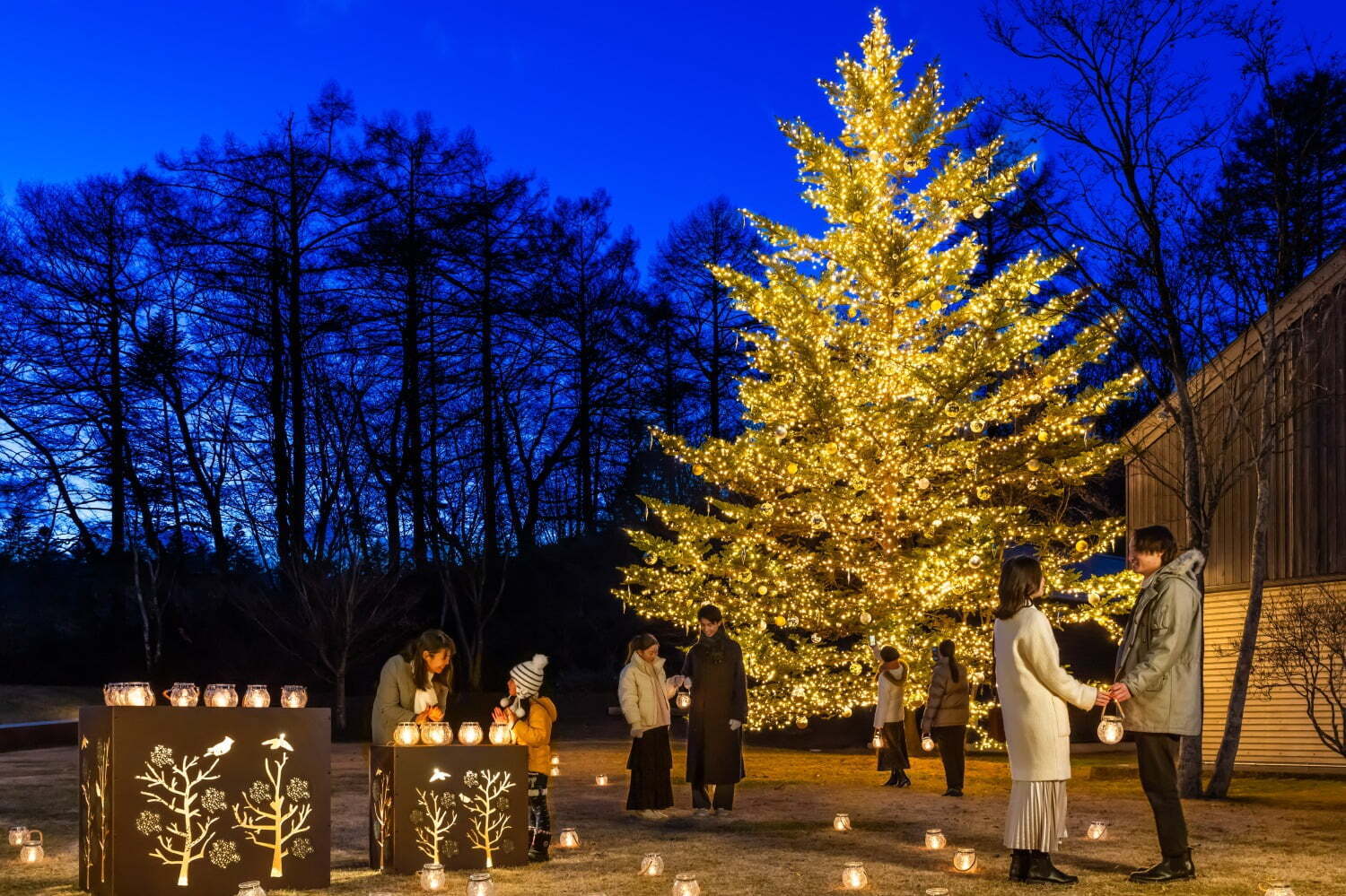 スケートリンク｜軽井沢星野エリア24年クリスマスイルミネーション、“やどりぎランタン”で煌めく空間を散策