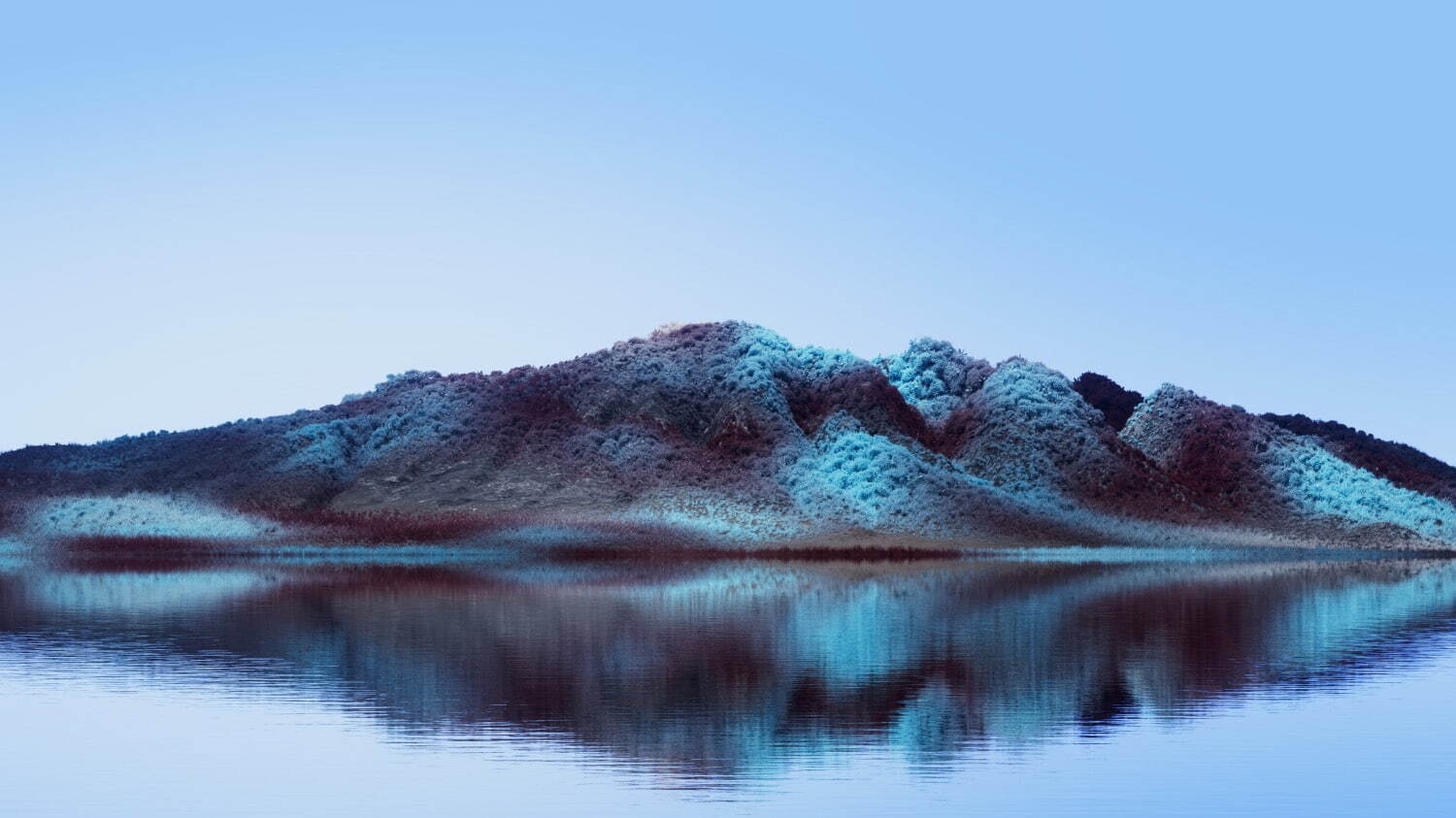 原田裕規 《ホーム・ポート》 2023/2024年