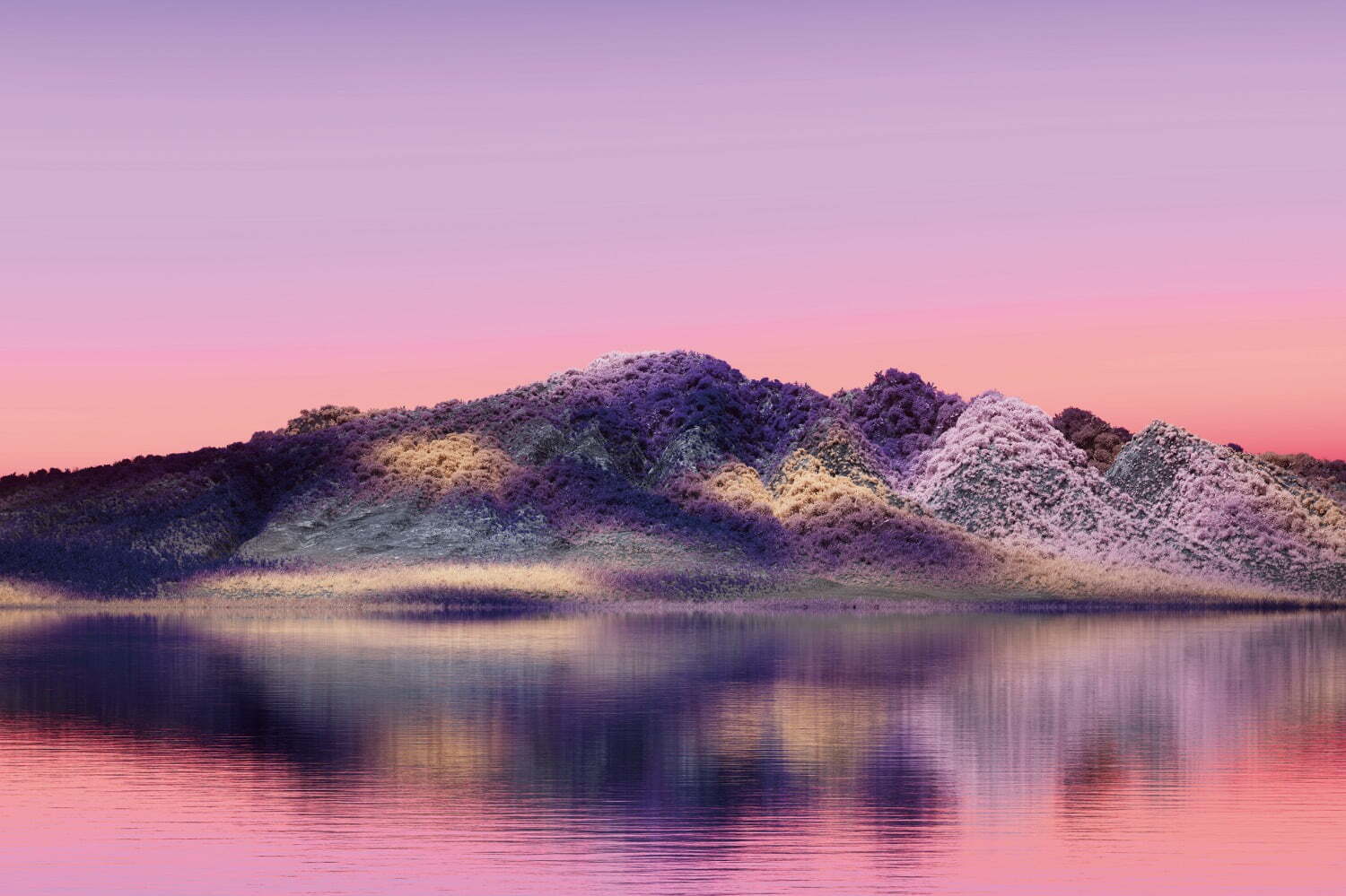 美術館｜原田裕規の個展が広島市現代美術館で、自身の身体性に向きあう映像作品＆CGによる“現代の風景画”一堂に