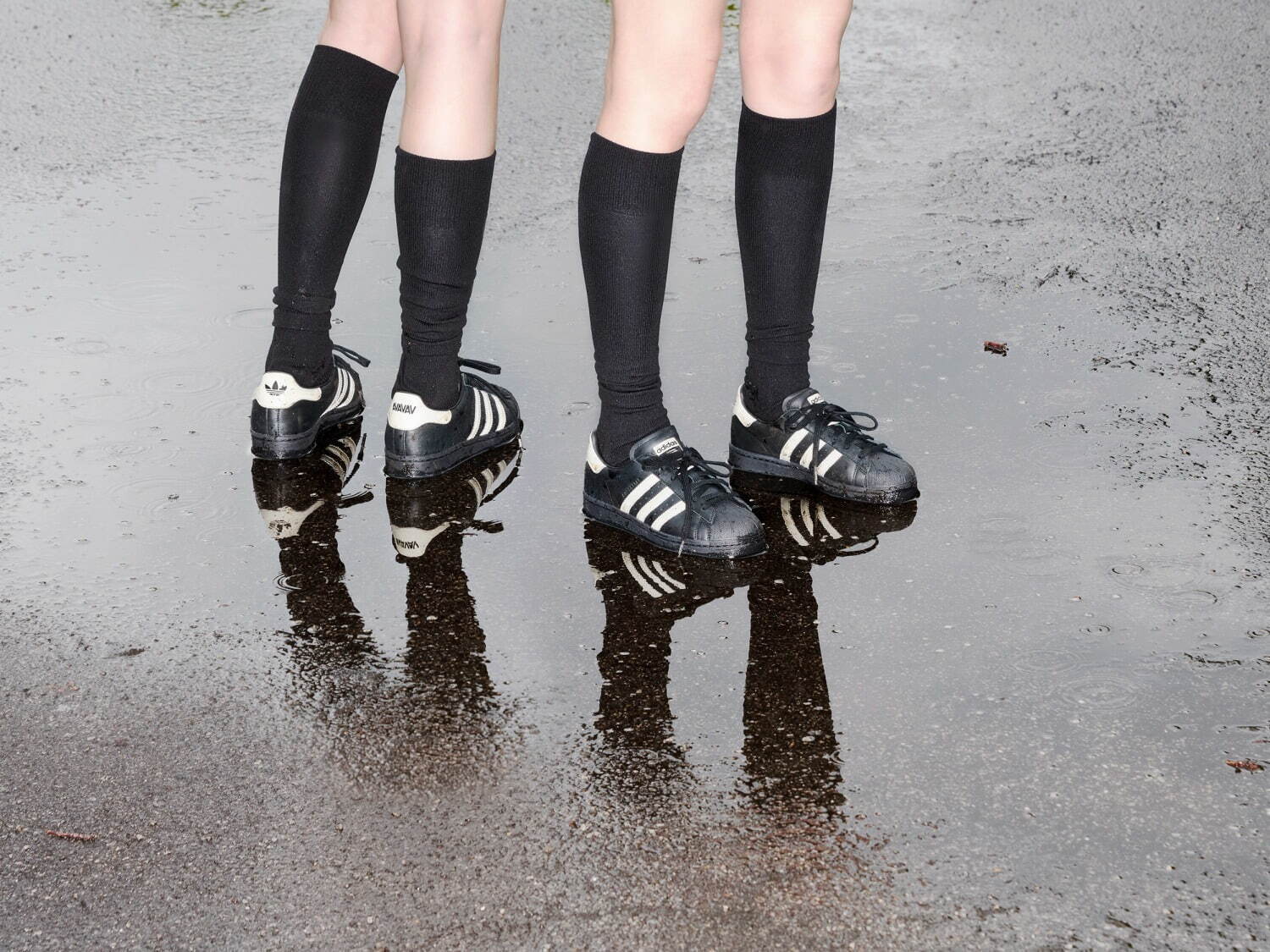 アディダス オリジナルス(adidas Originals), アヴァヴァヴ(AVAVAV) スーパースター｜写真8