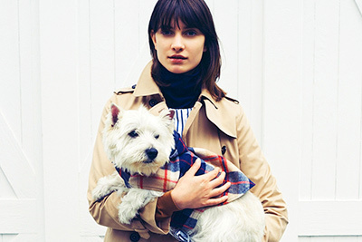 マッキントッシュ フィロソフィー14年秋フェア、キュートなドッグ用コートなども