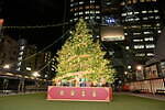 赤坂サカス広場に「ハリー・ポッターツリー」劇場にもクリスマスツリー＆イルミネーション点灯｜写真2