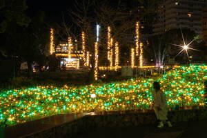 名古屋・久屋大通公園の24年冬イルミネーション、ゴールド×エメラルドの光きらめくライトアップ｜写真6
