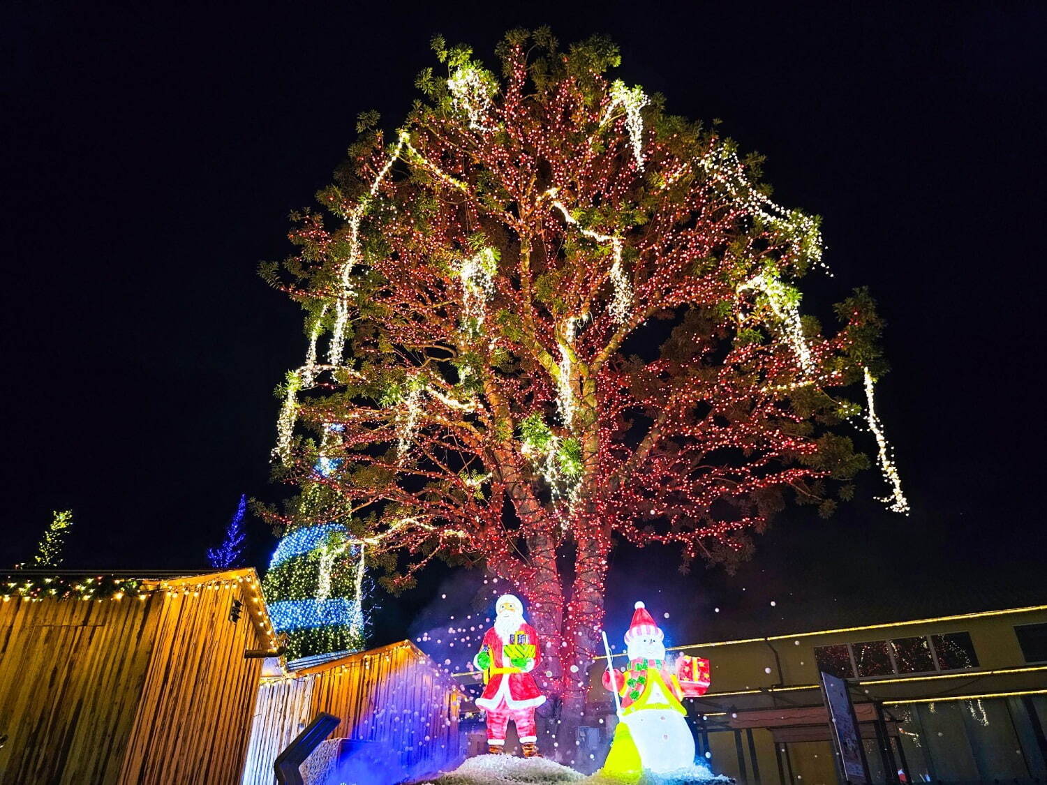 大阪・堺「ハーベストの丘」24年冬イルミネーション - 光るトナカイや遊具、クリスマスマーケットも｜写真2