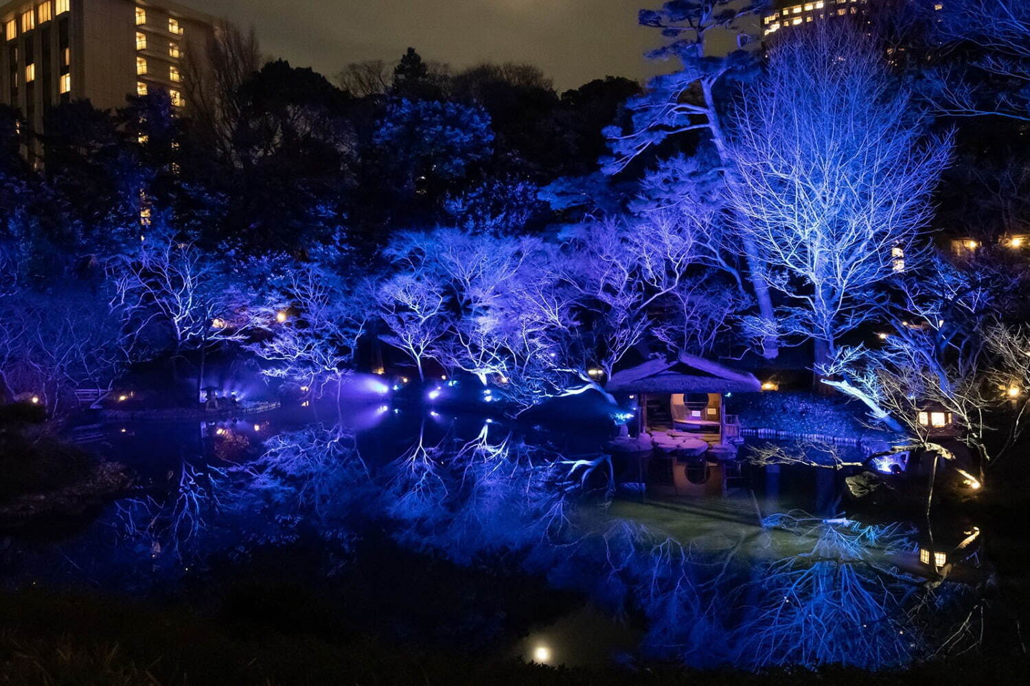 庭園｜八芳園、日本庭園が青一色に染まるライトアップイベント「トウキョウブルーガーデン 2024-2025」