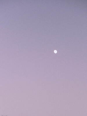 ヒュー・デイ・トゥ・イブニング	(hue DAY TO EVENING) 2025年春夏ウィメンズコレクション  - 写真29