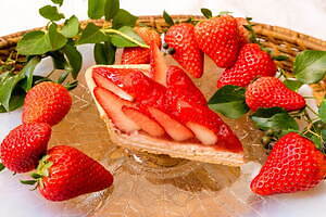 キル フェ ボンの冬限定タルト、“雪の結晶風クリーム”オレンジチョコレートやイチゴショート風｜写真28