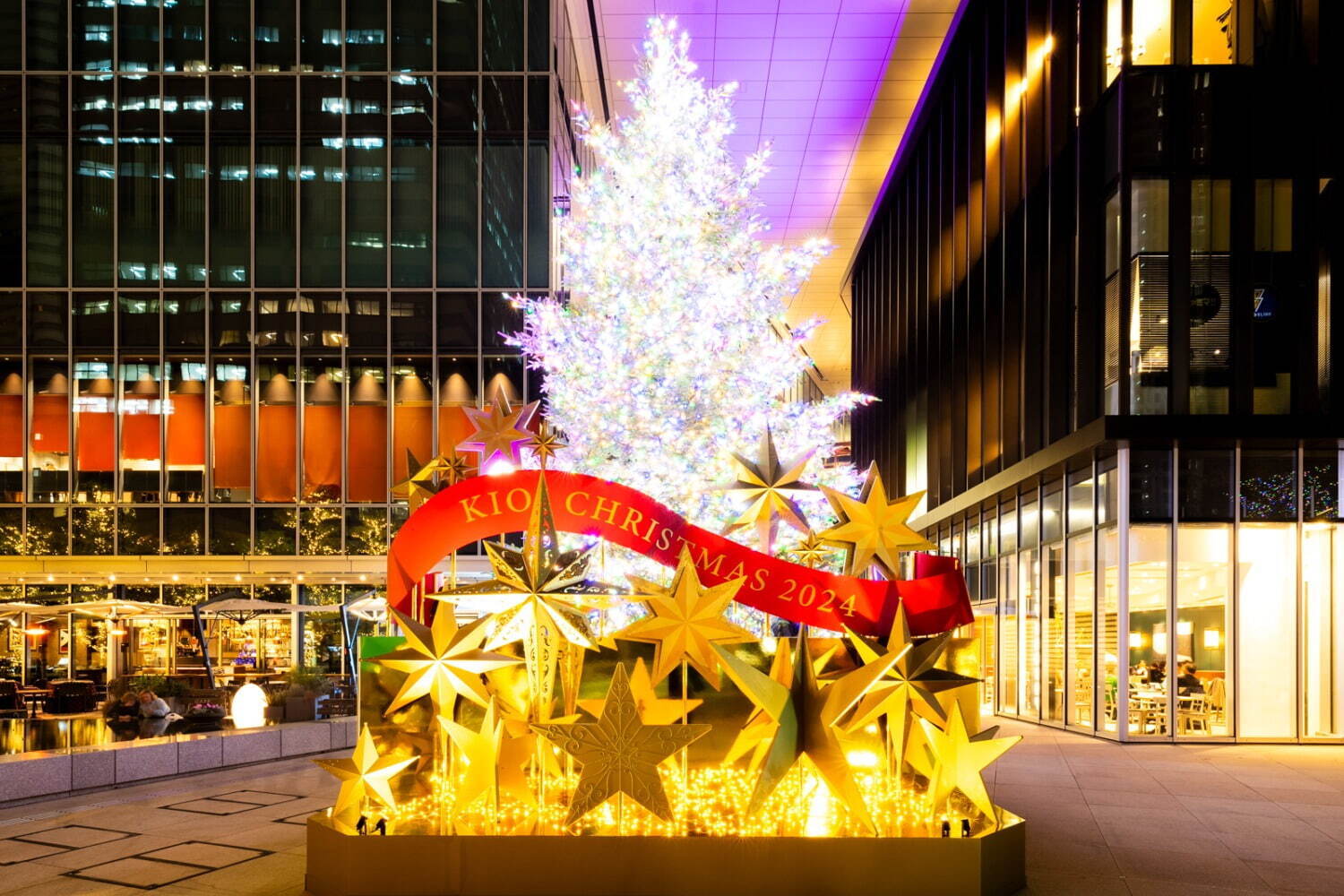 ツリー｜東京ガーデンテラス紀尾井町“キラキラ星が舞い降りる”イルミネーション、夜空に煌めくクリスマスツリーも