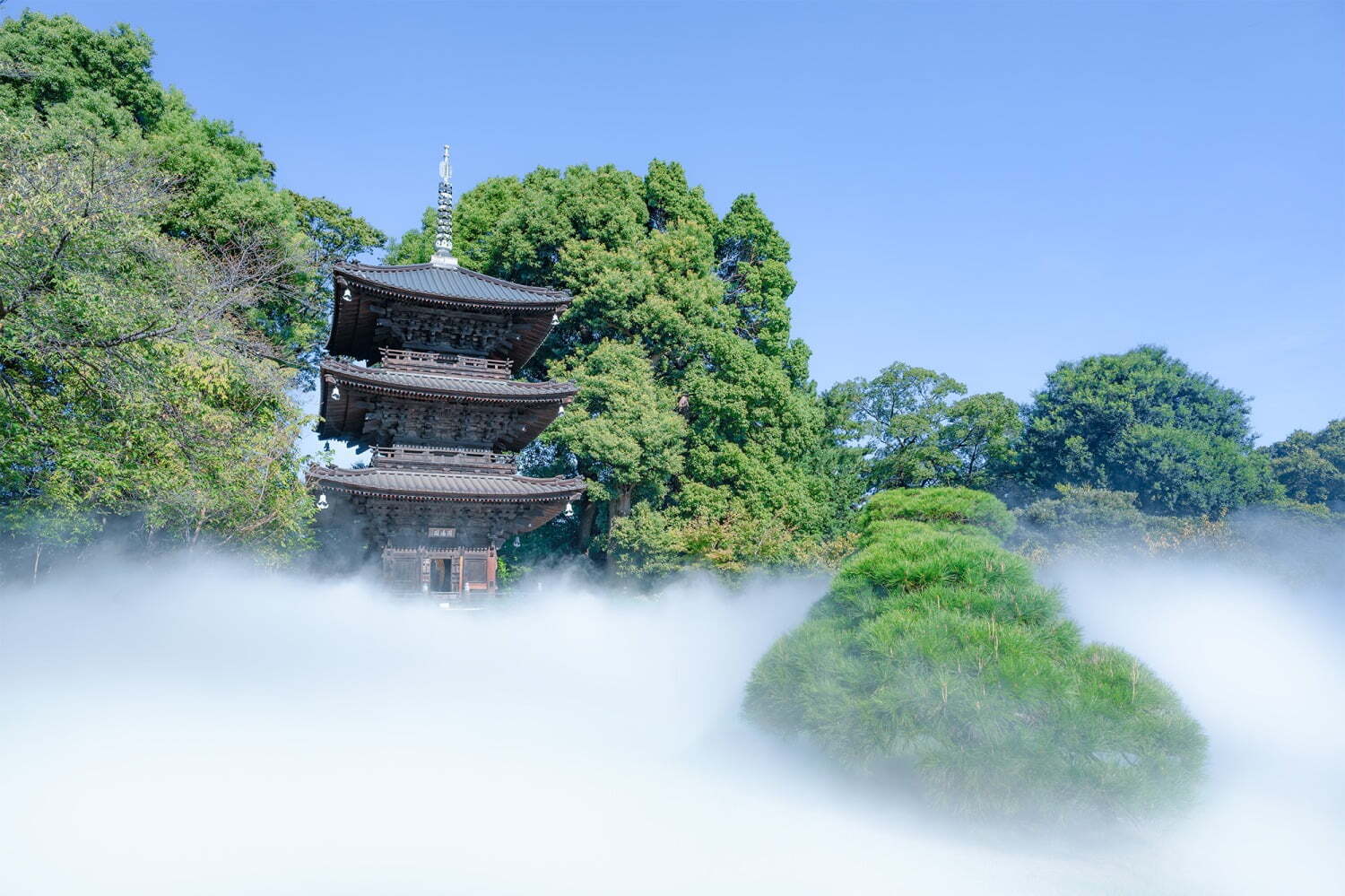 雲海スポット｜ホテル椿山荘東京“幻想的な雲海”の新演出「天空の三重塔」、3層のチョコバナナスイーツも