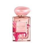 アルマーニ ビューティ25年春フレグランス、“エキゾチックな旅路”着想フローラルな香水｜写真1