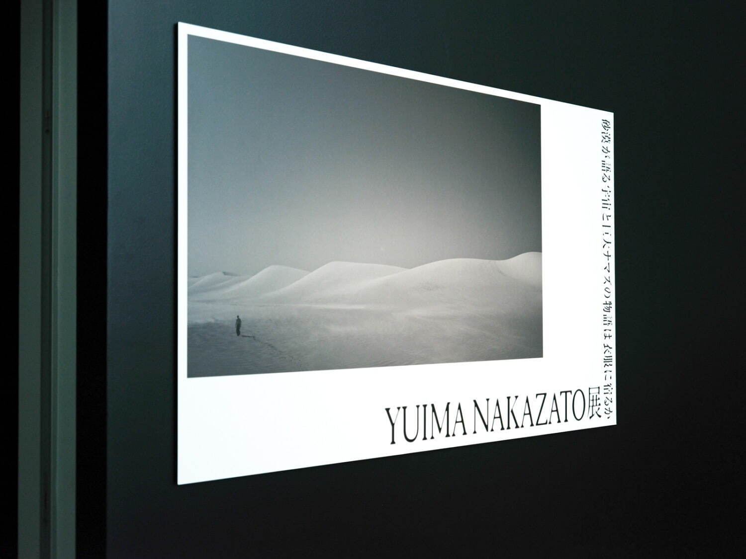 ユイマナカザト(YUIMA NAKAZATO) ユイマナカザト展｜写真11