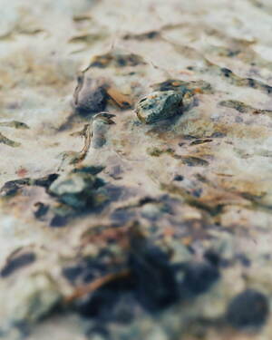 デサント オルテライン エイティワン(DESCENTE ALLTERRAIN 81) 2025年春夏メンズコレクション  - 写真15