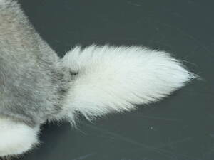 エミ(emmi) 2023-24年秋冬ウィメンズコレクション  - 写真12