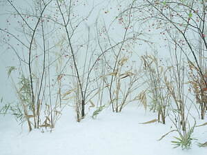 エミ(emmi) 2023-24年秋冬ウィメンズコレクション  - 写真26