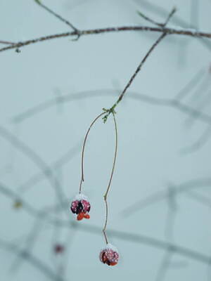 エミ(emmi) 2023-24年秋冬ウィメンズコレクション  - 写真46