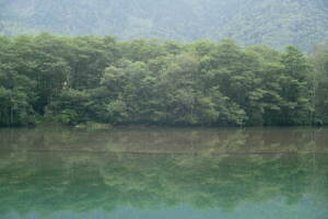 エミ(emmi) 2023-24年秋冬ウィメンズコレクション  - 写真56