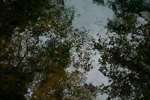 エミ(emmi) 2023-24年秋冬ウィメンズコレクション  - 写真62